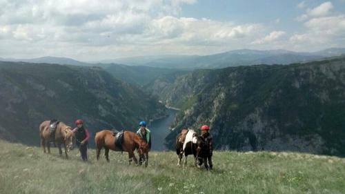 Hostal Guesthouse Madzarevic