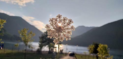 Apartmani Herceg-plu?ine