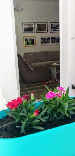 Apartmani Herceg-plu?ine