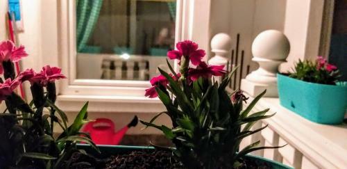 Apartmani Herceg-plu?ine
