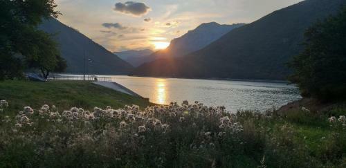 Apartmani Herceg-plu?ine