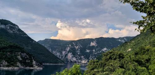 Apartmani Herceg-plu?ine
