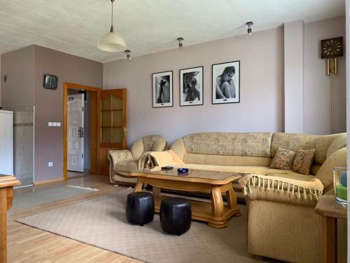 Apartmani Alo Alo (kod Mikija)