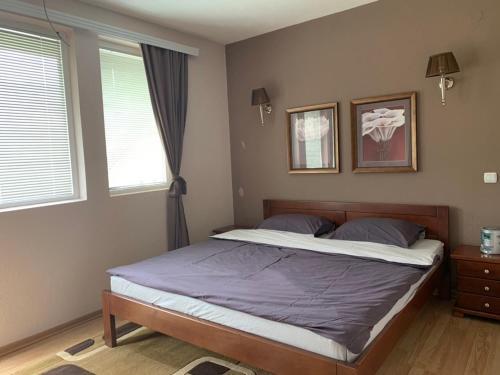 Apartmani Alo Alo (kod Mikija)