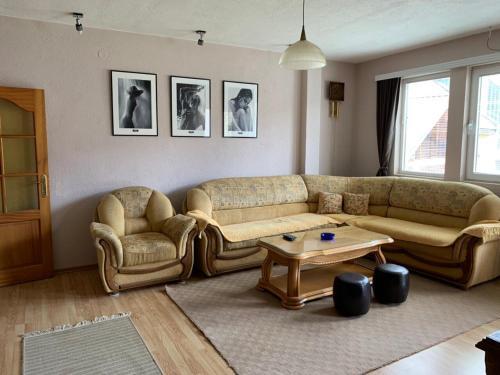 Apartmani Alo Alo (kod Mikija)
