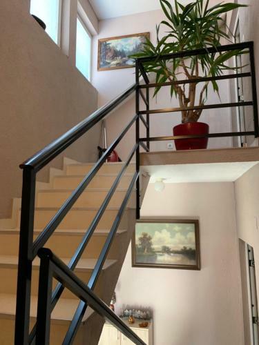 Apartmani Alo Alo (kod Mikija)