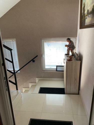 Apartmani Alo Alo (kod Mikija)