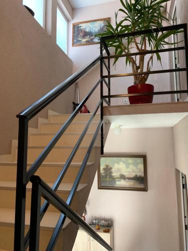 Apartmani Alo Alo (kod Mikija)