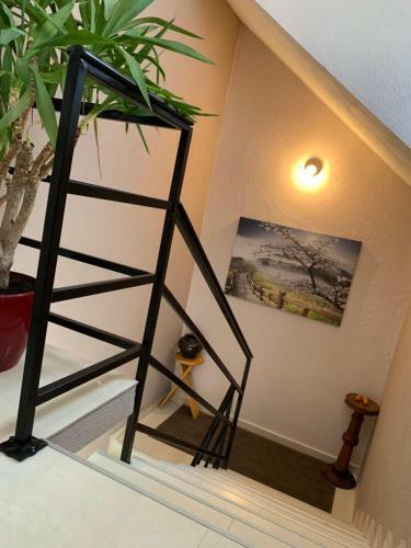 Apartmani Alo Alo (kod Mikija)