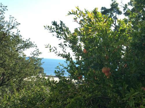 Agroturismo Villa Julia