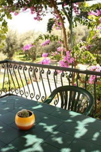 Hostal Apartments & Rooms M
