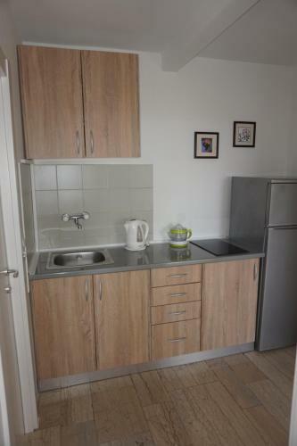 Apartments Minja Nerin