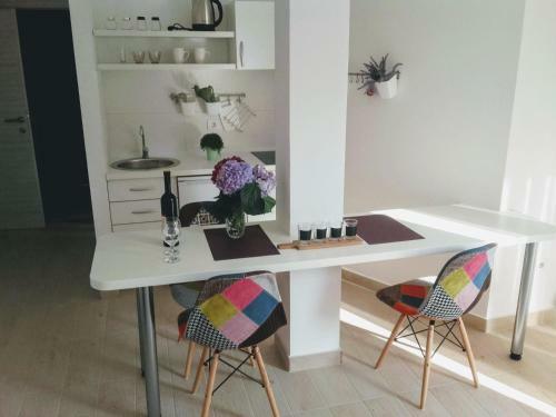 Apartamento Guest House Djonovic