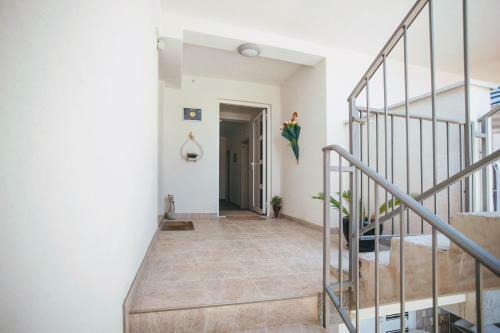 Apartamento Guest House Djonovic