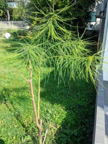 Apartamento Guest House Djonovic