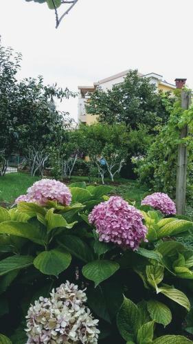 Apartamento Guest House Djonovic