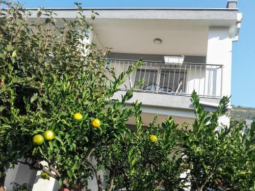 Apartamento Guest House Djonovic