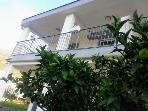Apartamento Guest House Djonovic