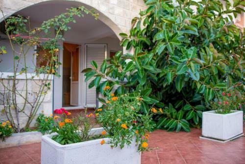 Villa Vila Vukoti?