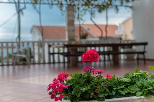 Villa Vila Vukoti?