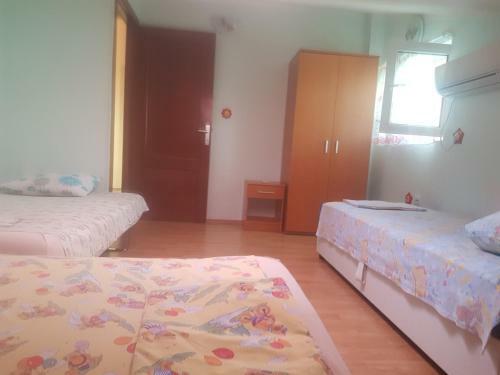 Big Apartman Petrovac