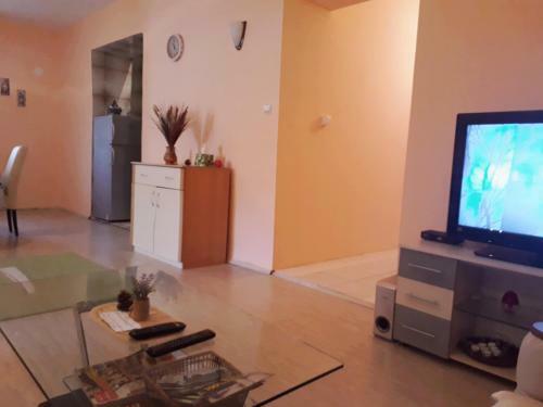Apartment Montenegro Star