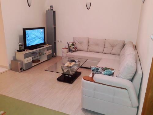 Apartment Montenegro Star