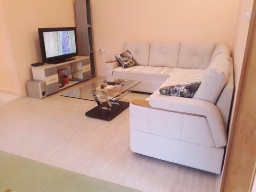 Apartment Montenegro Star