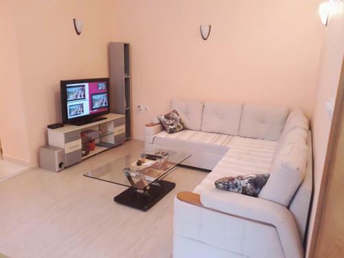Apartment Montenegro Star