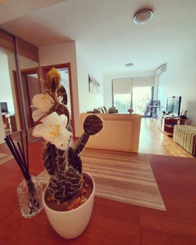 Leea Apartments