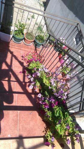 Apartamento Aparmani Family 1