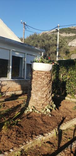 Villa Holiday Home Nives