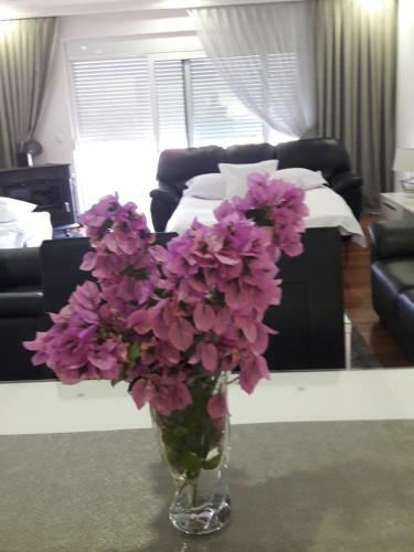 Apartaments Dzan