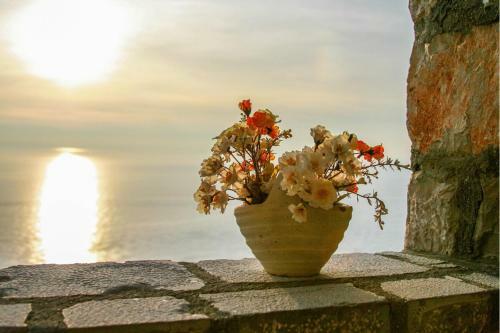 Bed & Breakfast Villa Dulcinea