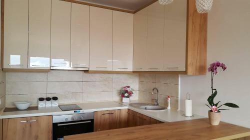 Apartman "alex & Nina"