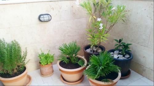 Apartamento Autentico