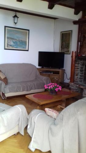 Apartment Djakonovic Mladen