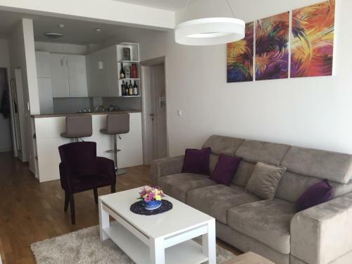 Apartments Svorcan Lux
