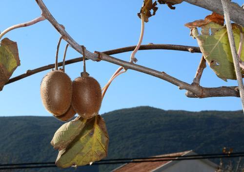 Apartmani Mia I Ana