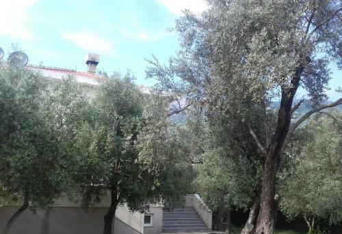 Hostal Guesthouse Maslina