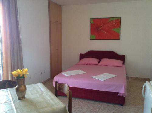 Hostal Guesthouse Tomovic