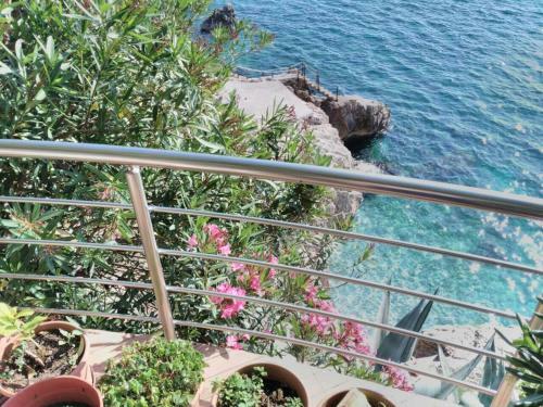 Apartmani Stikovic