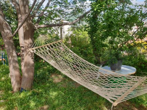Apartamento Montenegrin Beauty Star