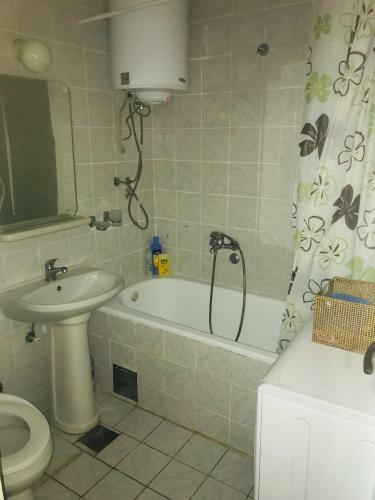 Apartment Igor