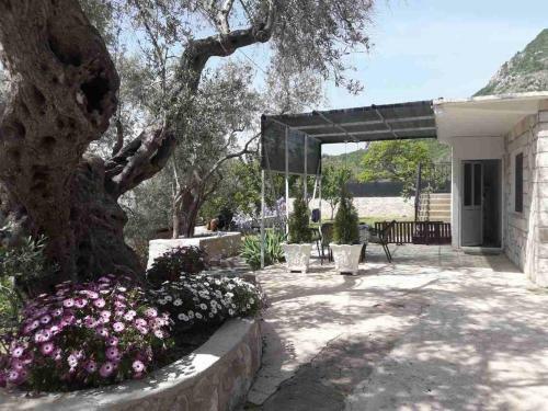 Apartman Nikocevic