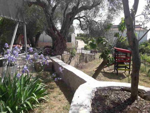 Apartman Nikocevic