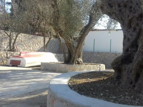 Apartman Nikocevic
