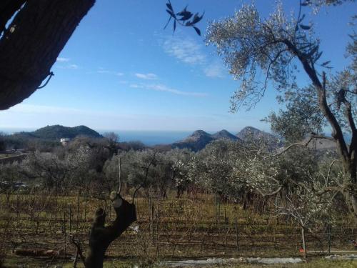Apartman Nikocevic