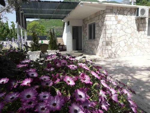 Apartman Nikocevic