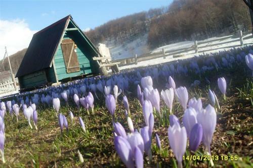Bed & Breakfast Guest House Etno Village Milogora